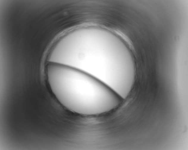 X0000088140976200706041334