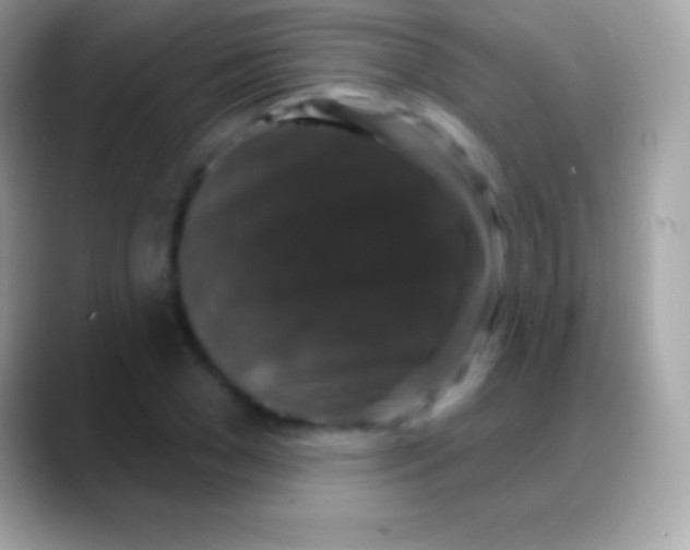 X0000088140977200706041334