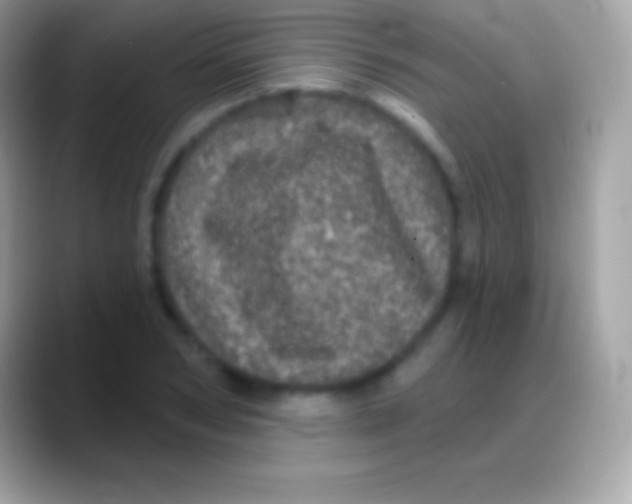 X0000088140978200706041334