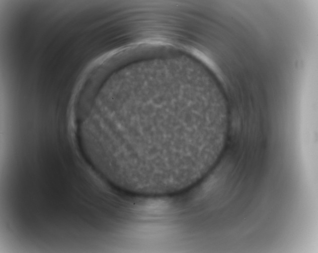 X0000088140979200706041334