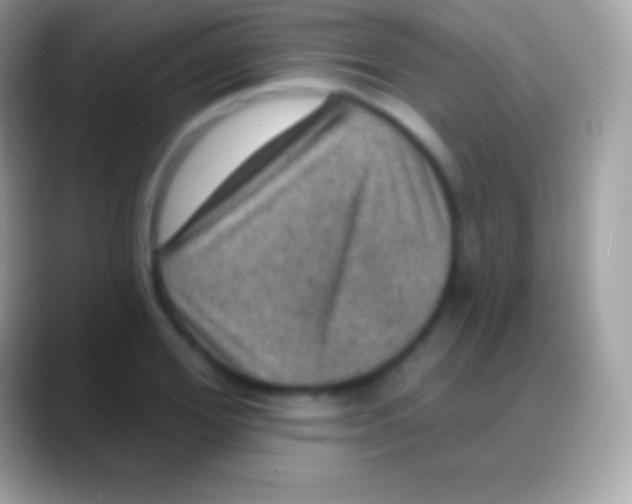 X0000088140980200706041334