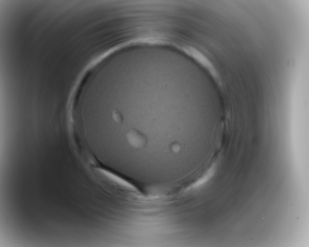 X0000088140981200706041334