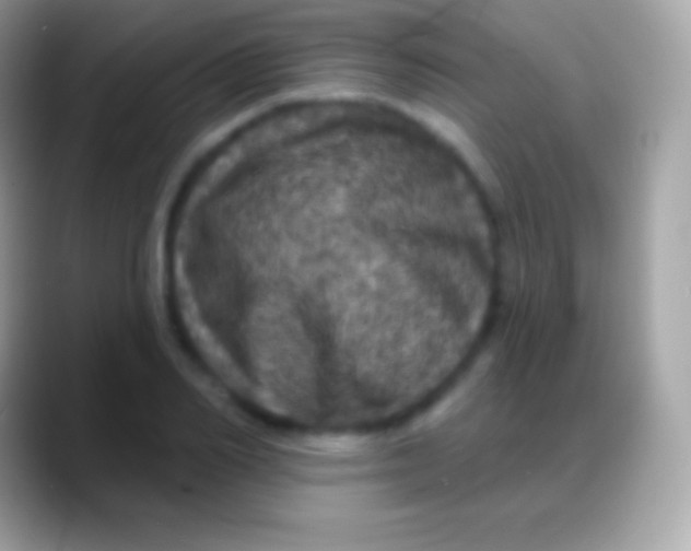 X0000088140982200706041334