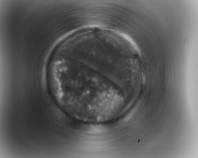 X0000088140983200706041334