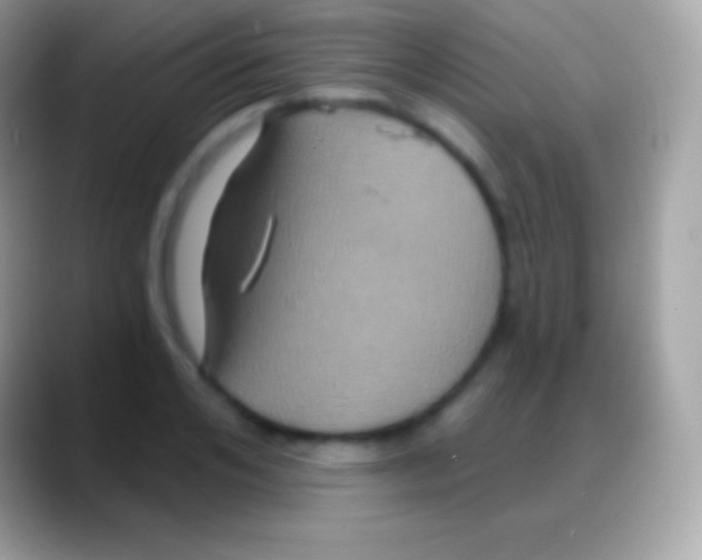 X0000088140984200706041334