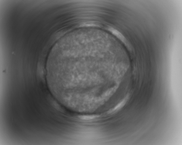 X0000088140985200706041334