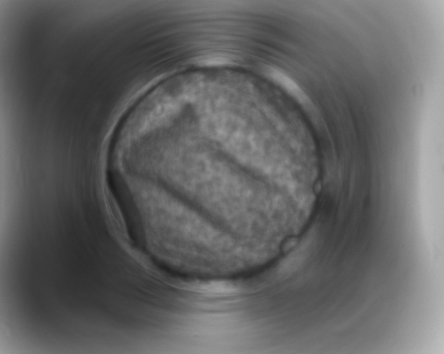 X0000088140986200706041334