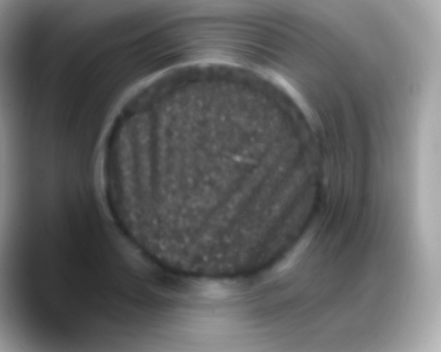 X0000088140987200706041334