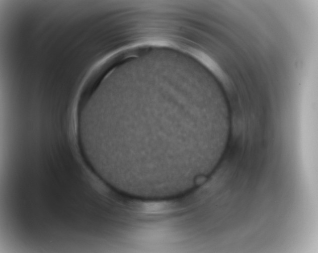 X0000088140988200706041334