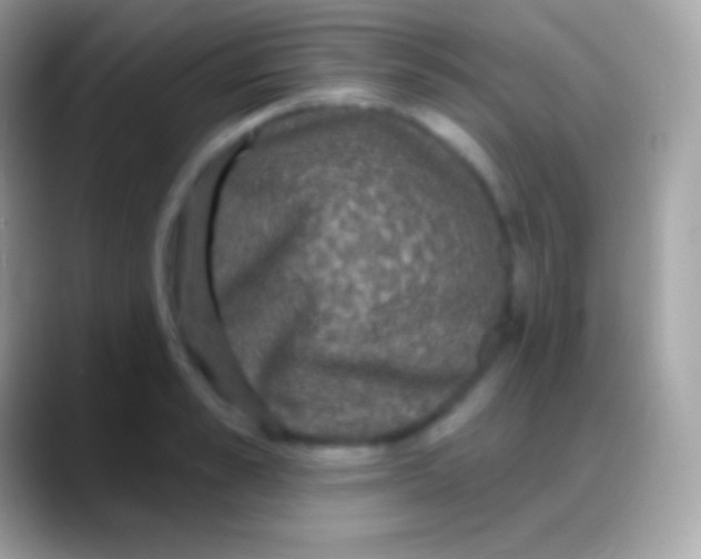 X0000088140989200706041334