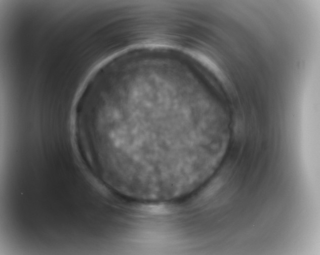 X0000088140990200706041334