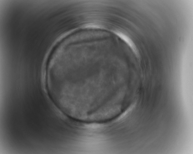 X0000088140992200706041334