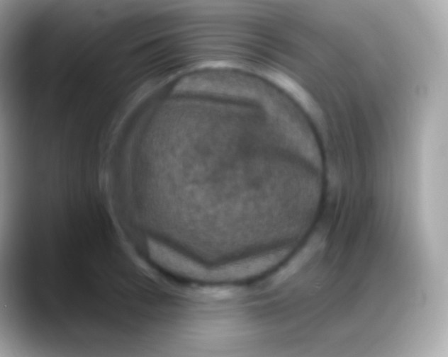 X0000088140993200706041334