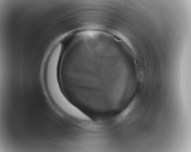 X0000088140995200706041334