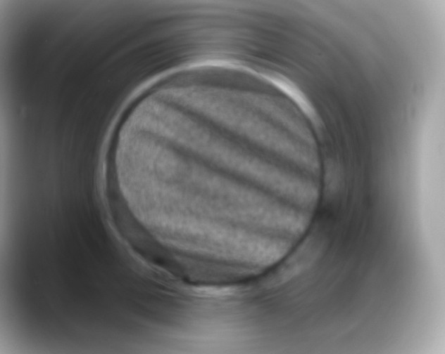 X0000088140996200706041334