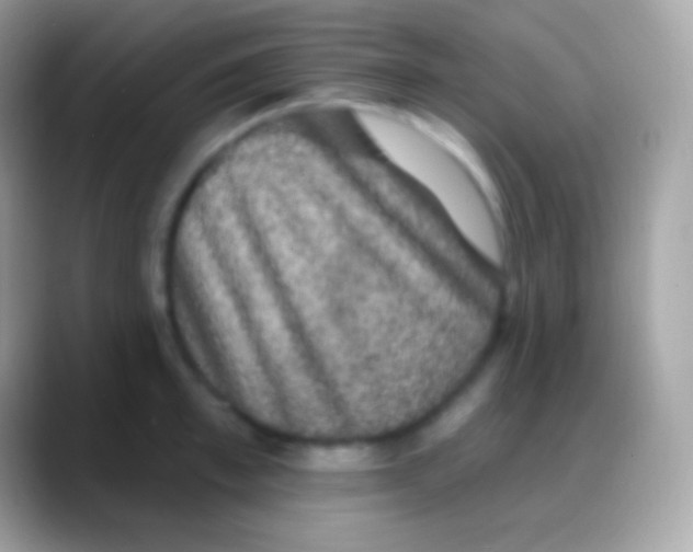 X0000088140997200706041334