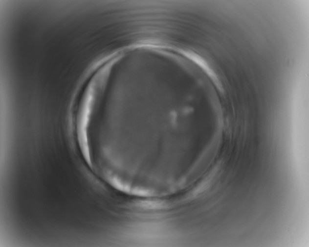 X0000088140998200706041334