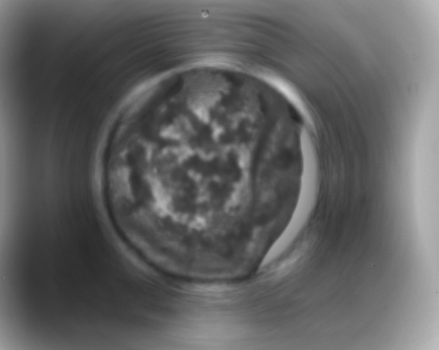 X0000088140999200706041334