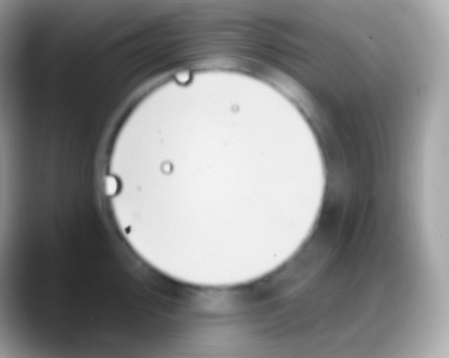 X0000088141000200706041334