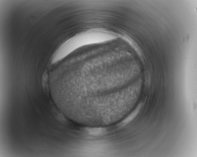 X0000088141001200706041334