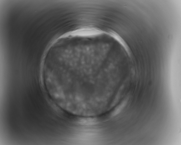 X0000088141002200706041334