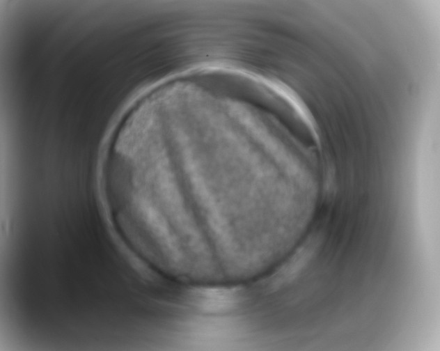 X0000088141005200706041333