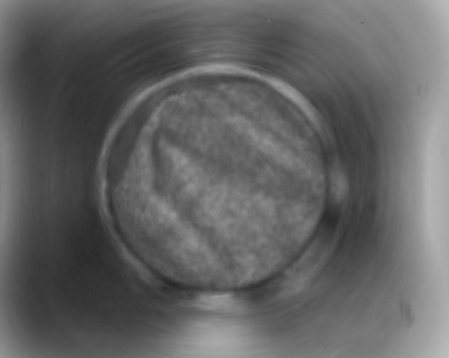 X0000088141006200706041333