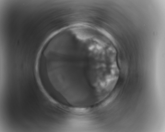 X0000088141007200706041333