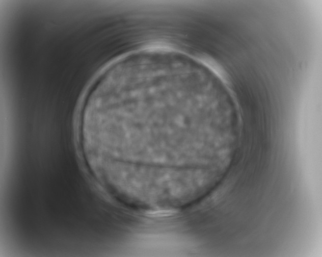 X0000088141008200706041333