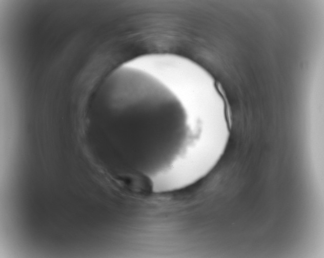 X0000088141009200706041333