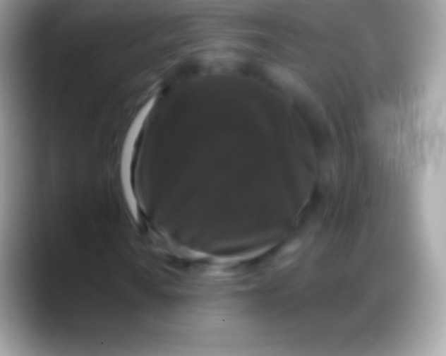 X0000088141010200706041333