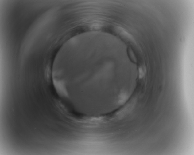 X0000088141011200706041333