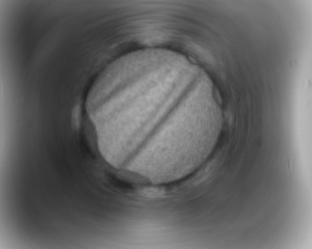 X0000088141012200706041333