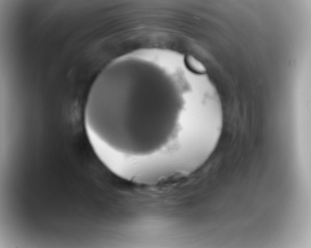 X0000088141013200706041333