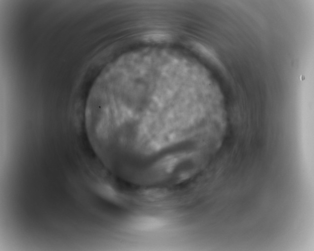 X0000088141015200706041333