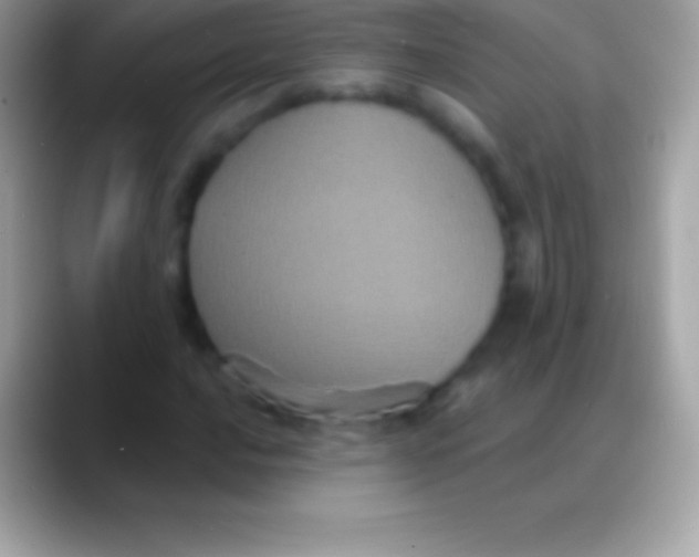 X0000088141016200706041333