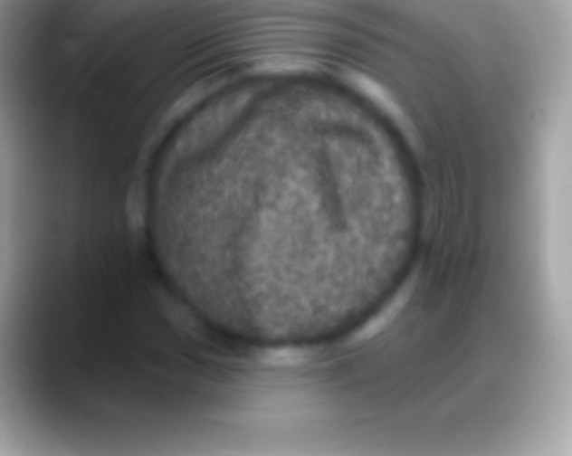 X0000088141017200706041333