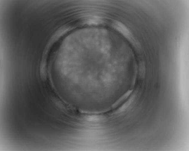 X0000088141018200706041333