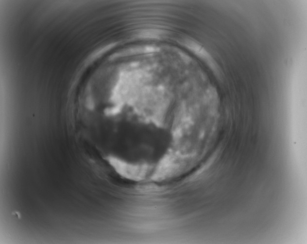 X0000088141019200706041333