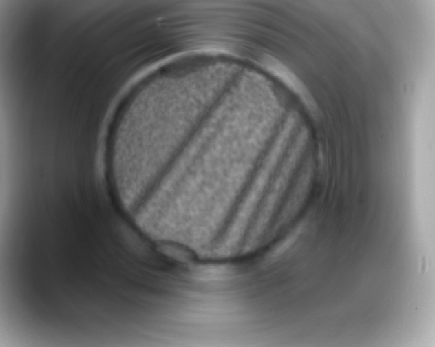 X0000088141020200706041333