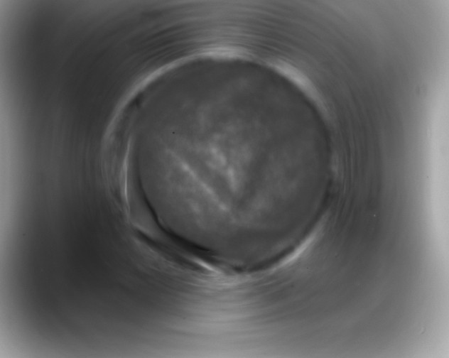 X0000088141022200706041333