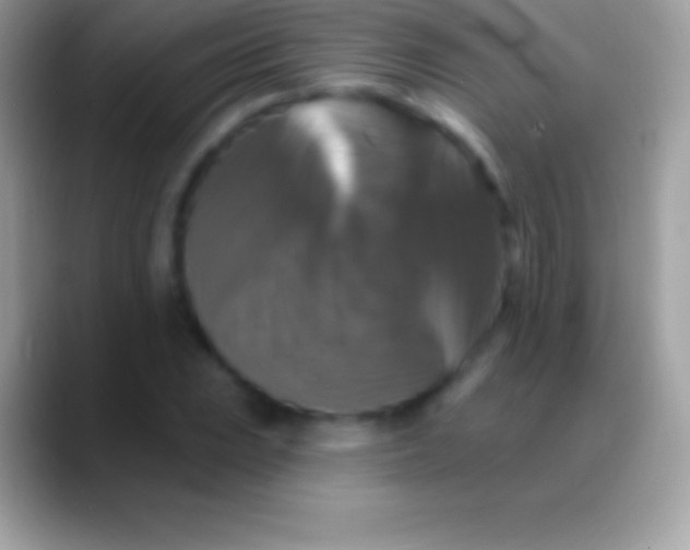 X0000088141023200706041333