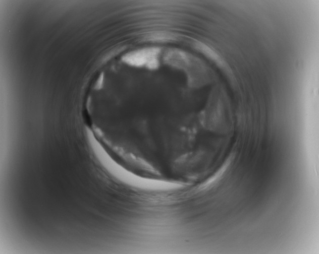 X0000088141025200706041333