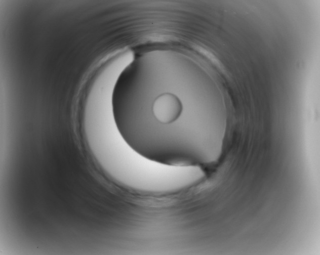 X0000088141026200706041333