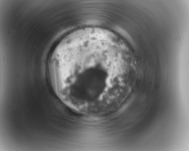 X0000088141027200706041333