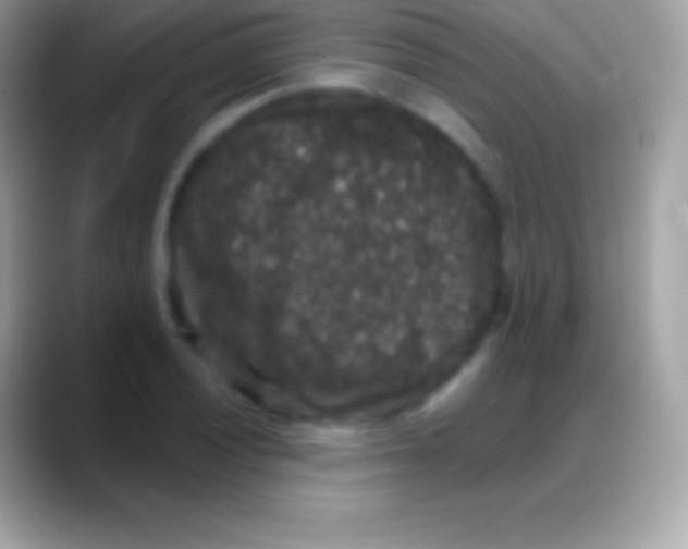 X0000088141028200706041333