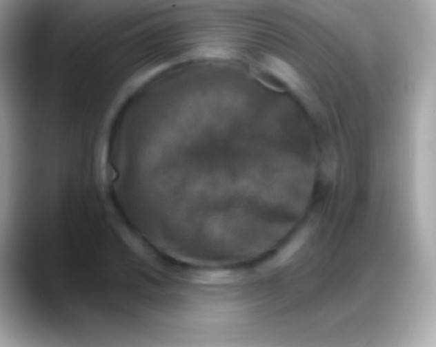 X0000088141030200706041333