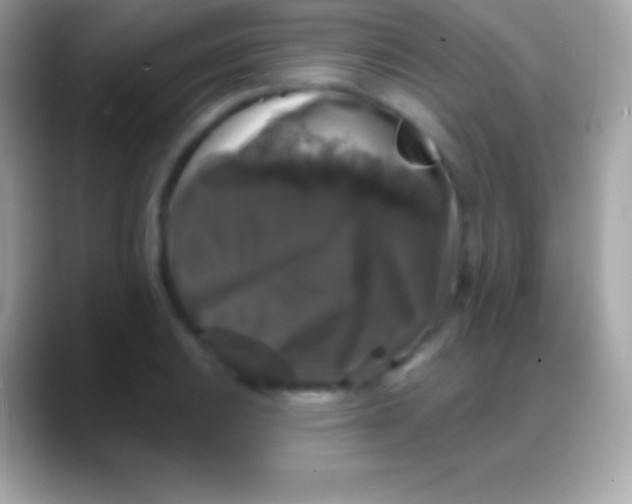 X0000088141031200706041333