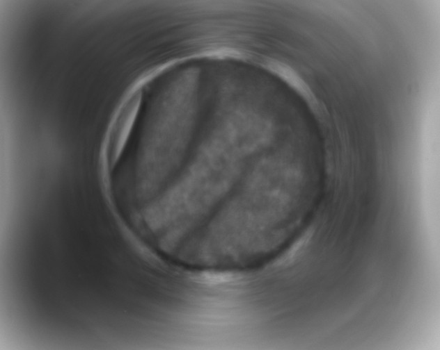 X0000088141032200706041333