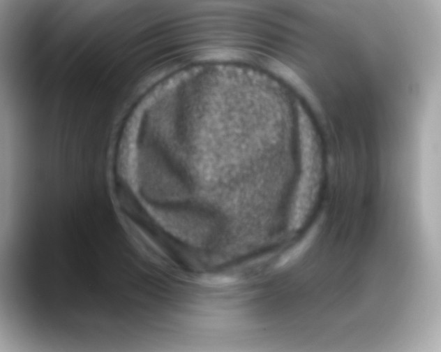 X0000088141033200706041333